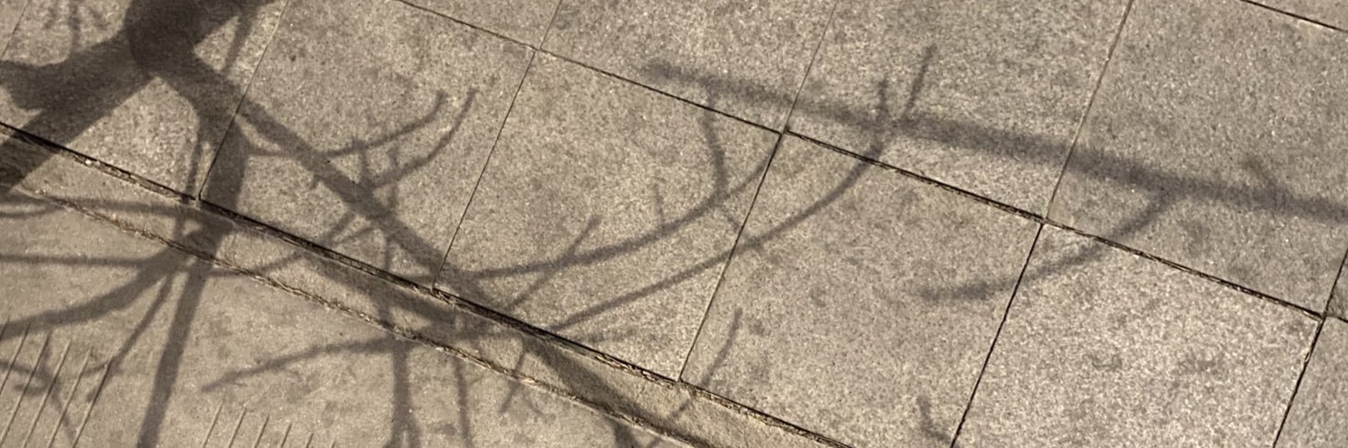 houderlin's profile banner image