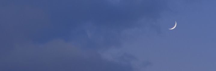 lalalauren 'ㅅ' banner