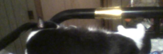 janetkcooley's profile banner image