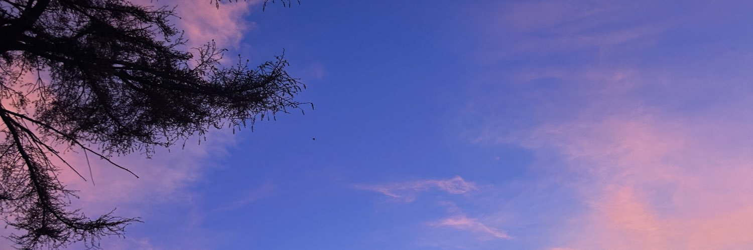 BioleVicky's profile banner image