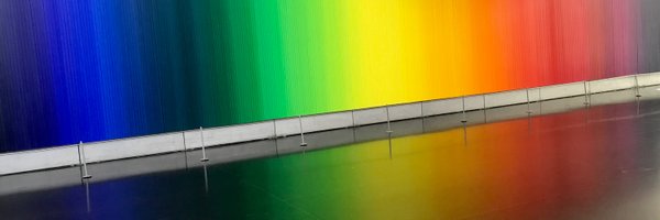 shayko Profile Banner