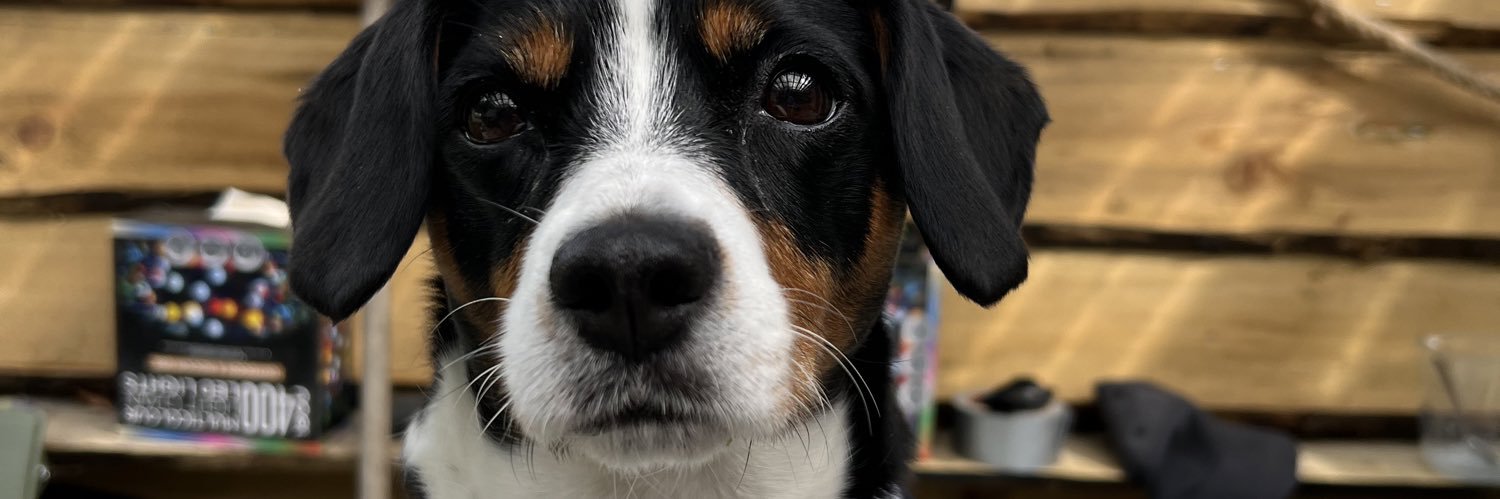 Daisy doo banner