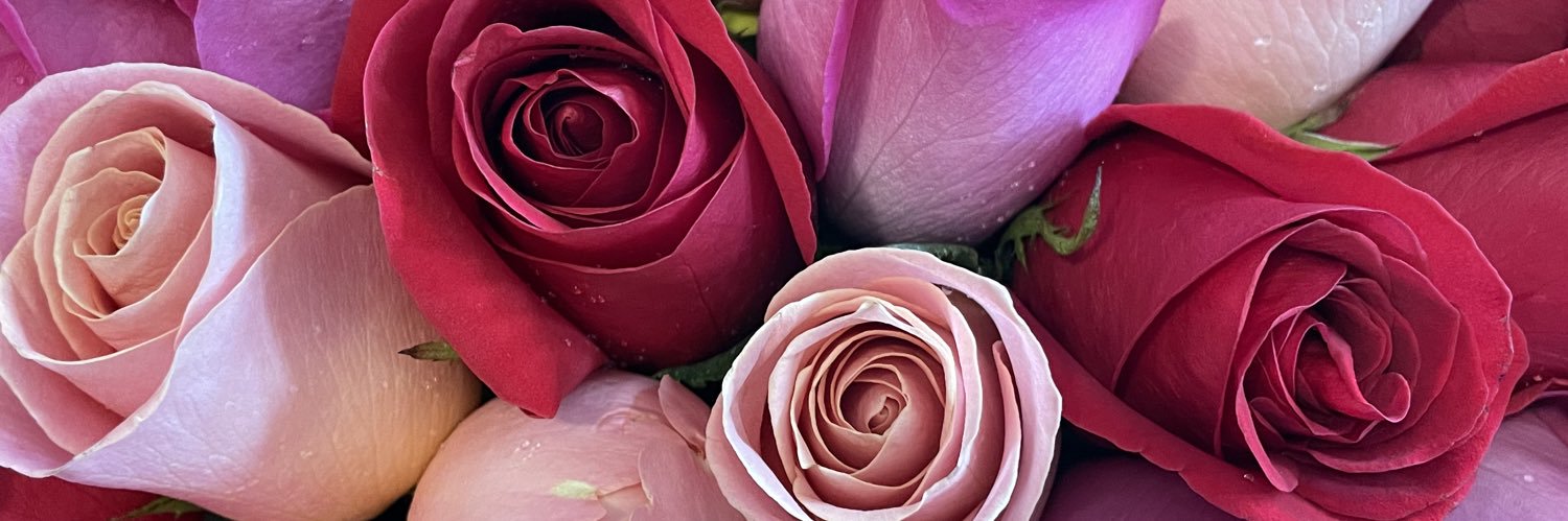 naaat27's profile banner image