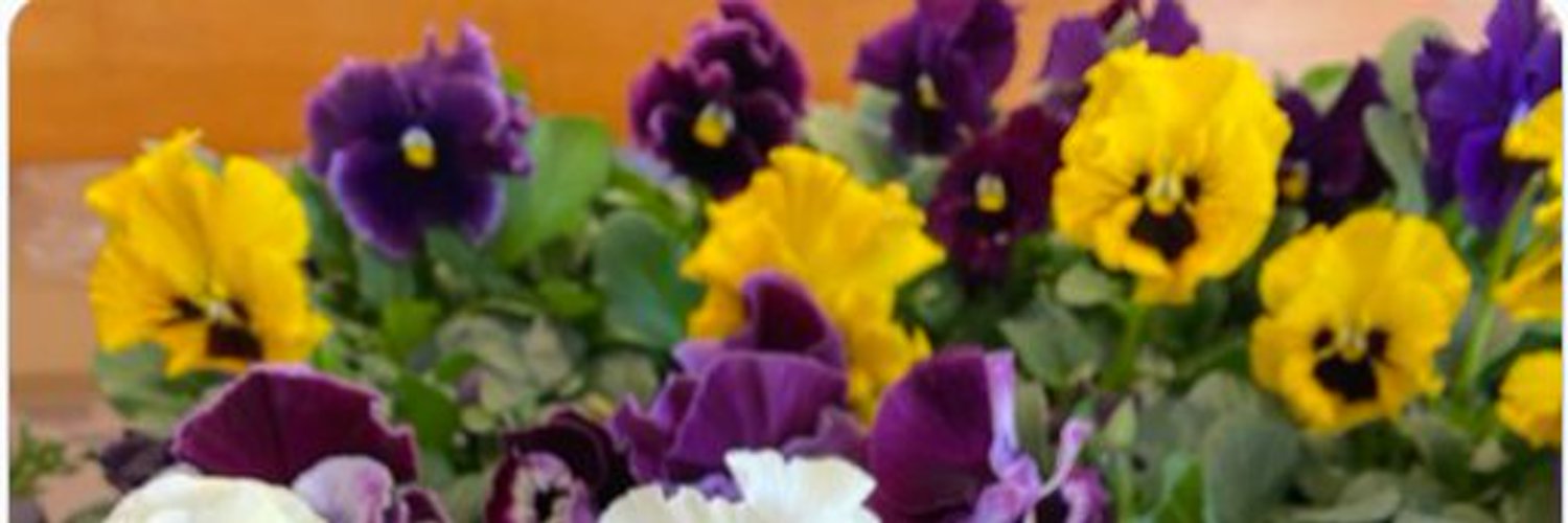Moribe_K's profile banner image