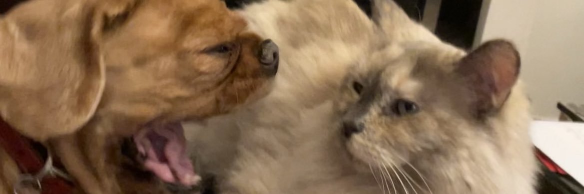 JMilner91's profile banner image