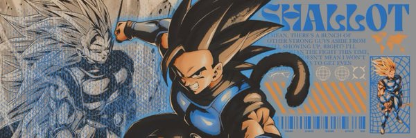 WildSharotto Profile Banner