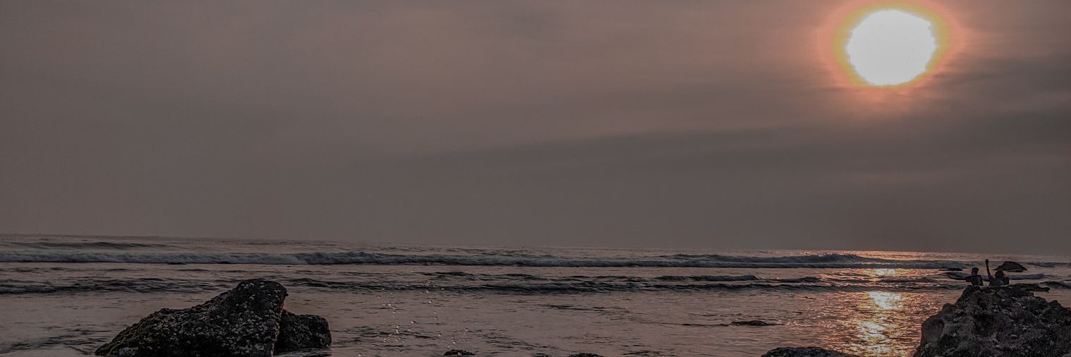 paketelor_'s profile banner image