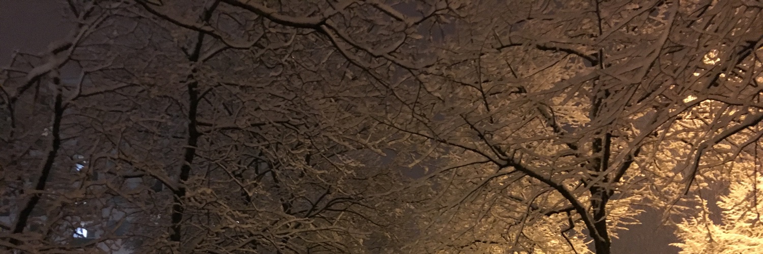 cchinocean's profile banner image