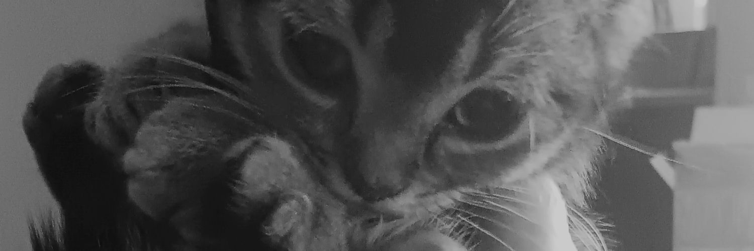 PaleBoneiver's profile banner image