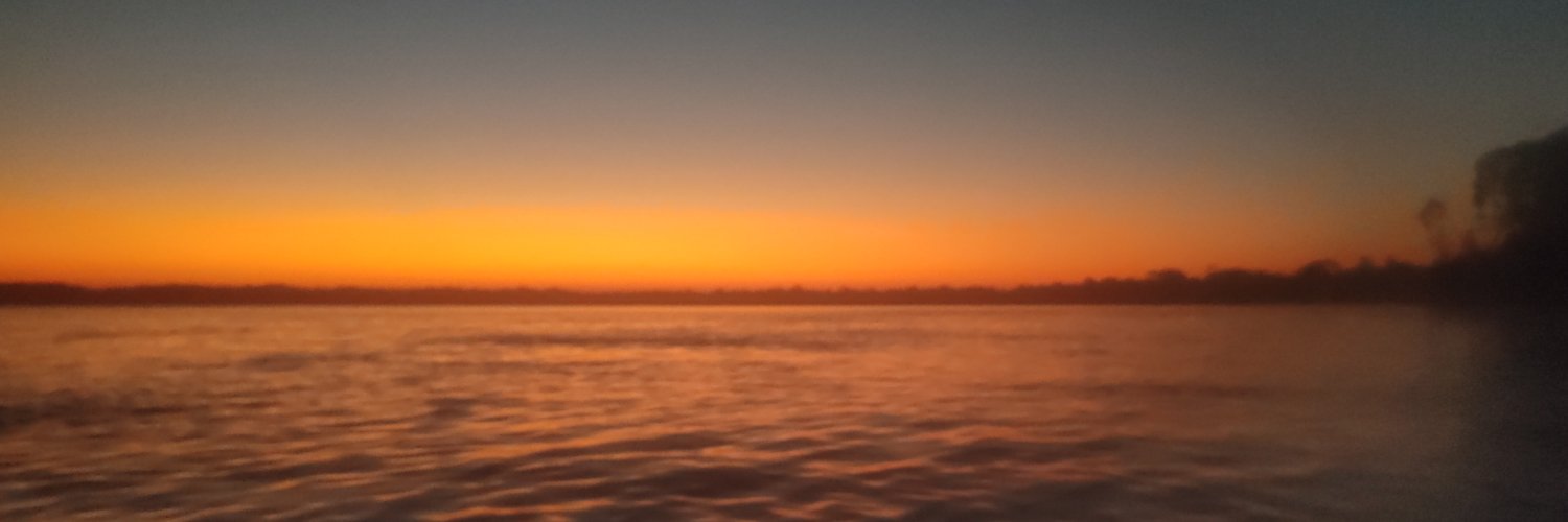 novettini's profile banner image