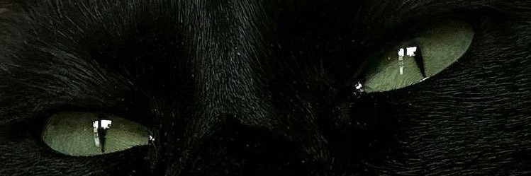 96tinyleevibes's profile banner image
