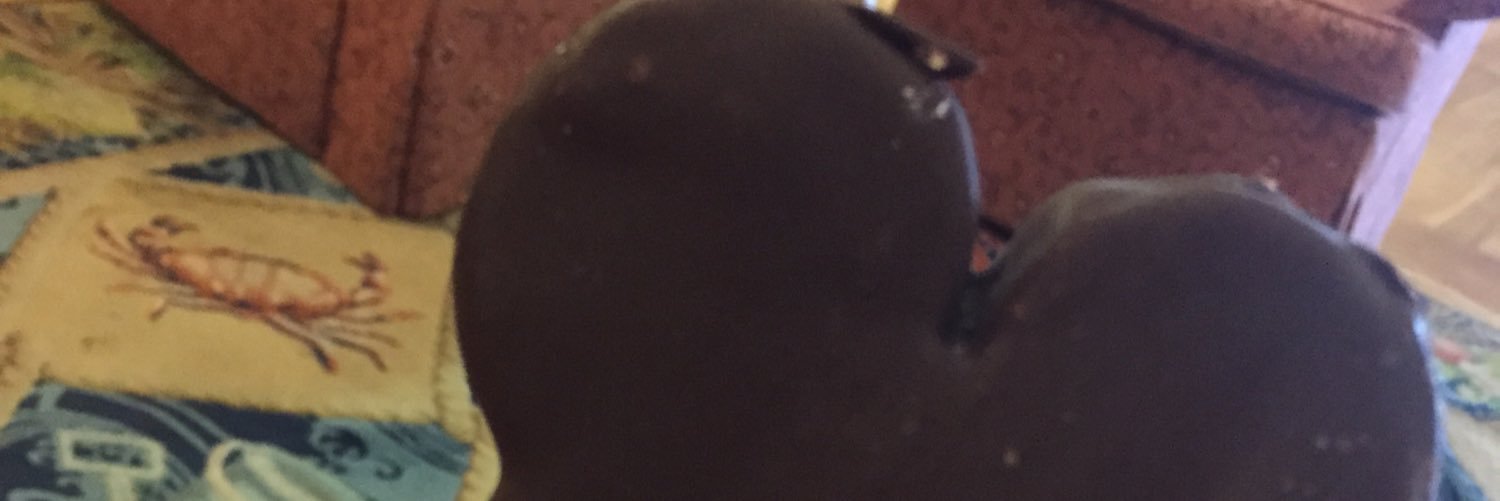 drewscheeler's profile banner image
