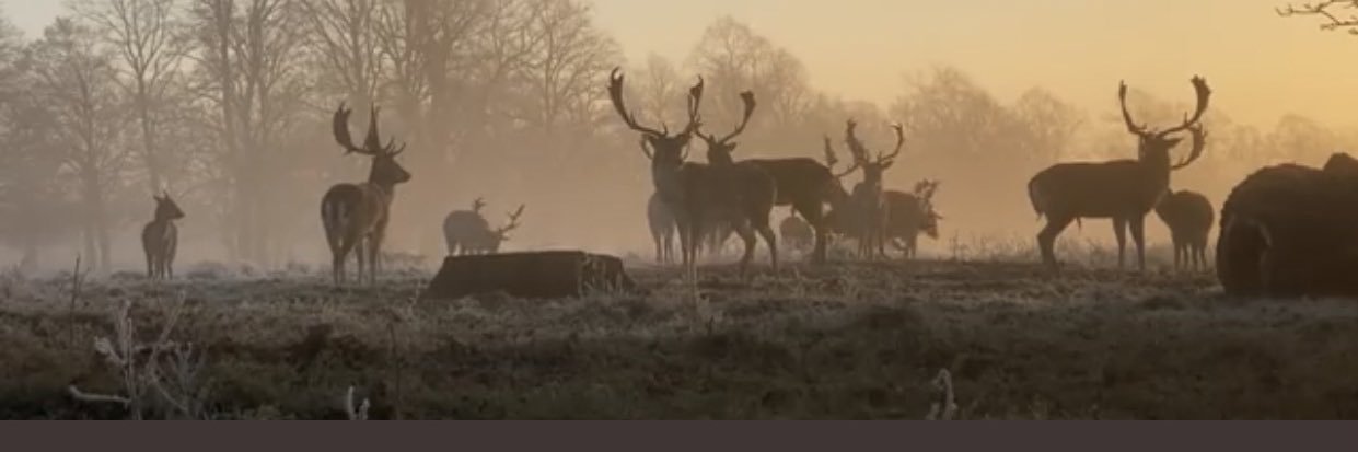 crombie_iain's profile banner image