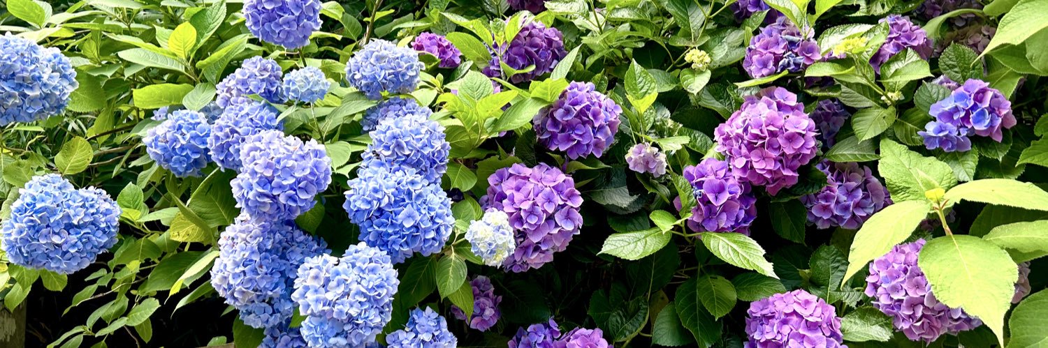 38子❀4/19🌈西4イ-15 banner