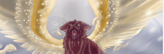 TobiPuppy's profile banner image