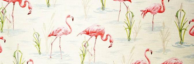 Lady Conurbano banner