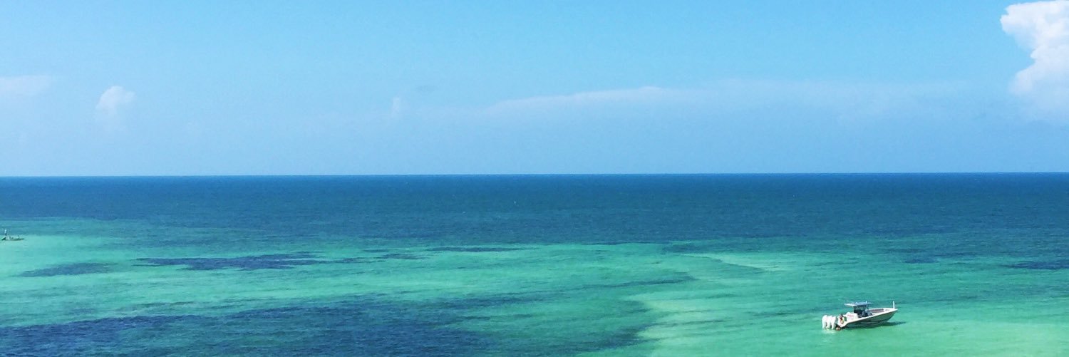 miklank's profile banner image