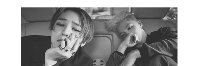 kuikubbot's profile banner image