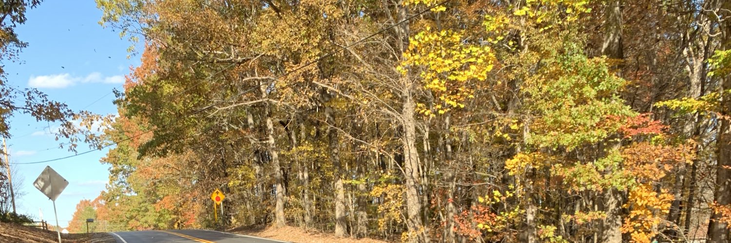 HaleyNoel1233's profile banner image