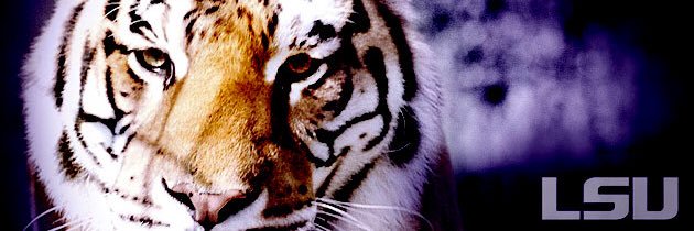 jon_snow81's profile banner image