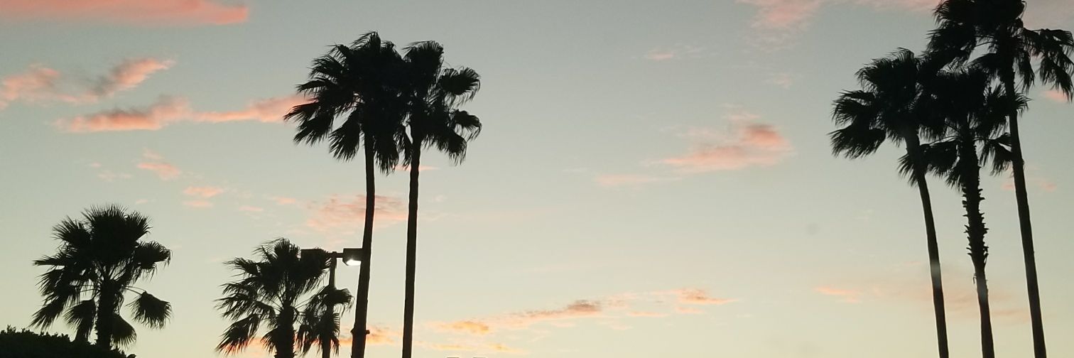 __raemae's profile banner image