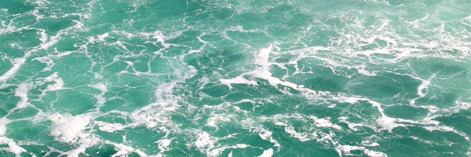 hrshnedny's profile banner image