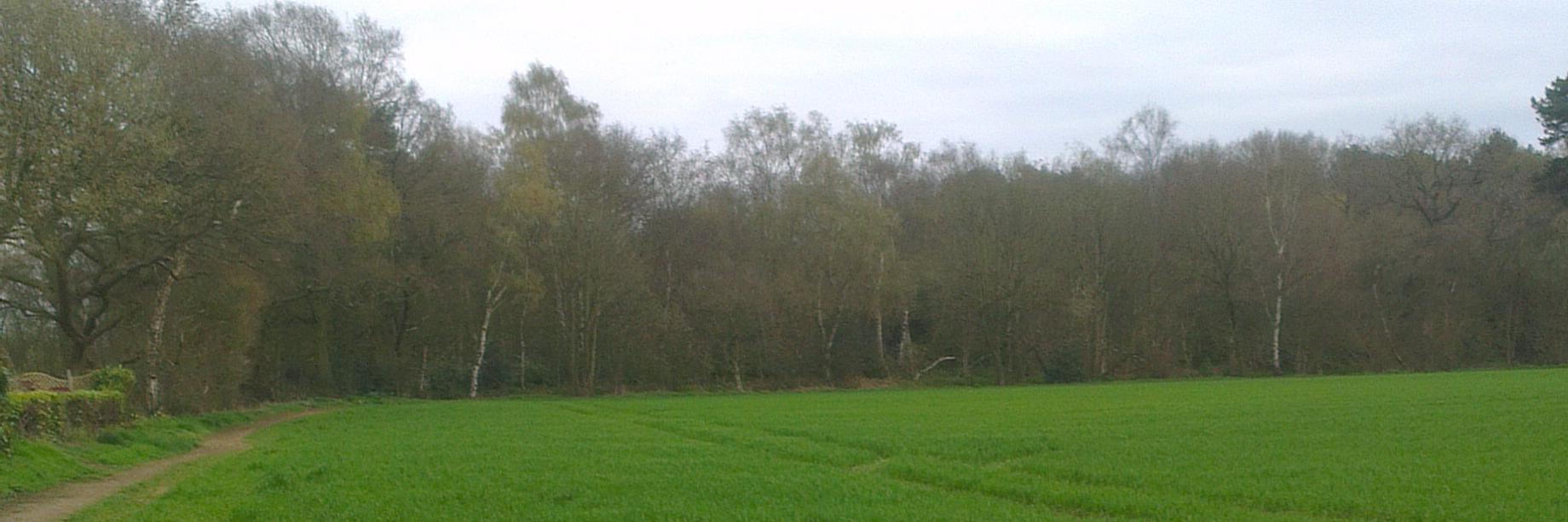 MDetectorists's profile banner image