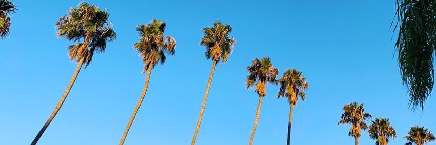 dannymorgis's profile banner image
