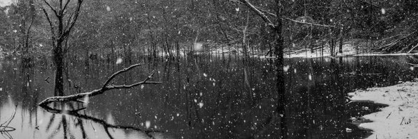 nasubi_penta Profile Banner