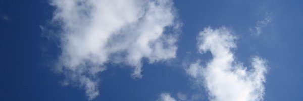 YolandaRodVal Profile Banner