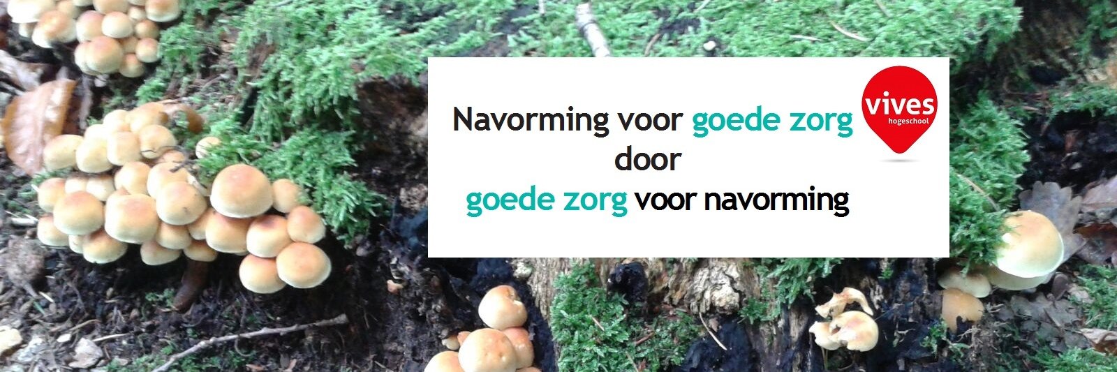 Navorming VIVES GEZ banner