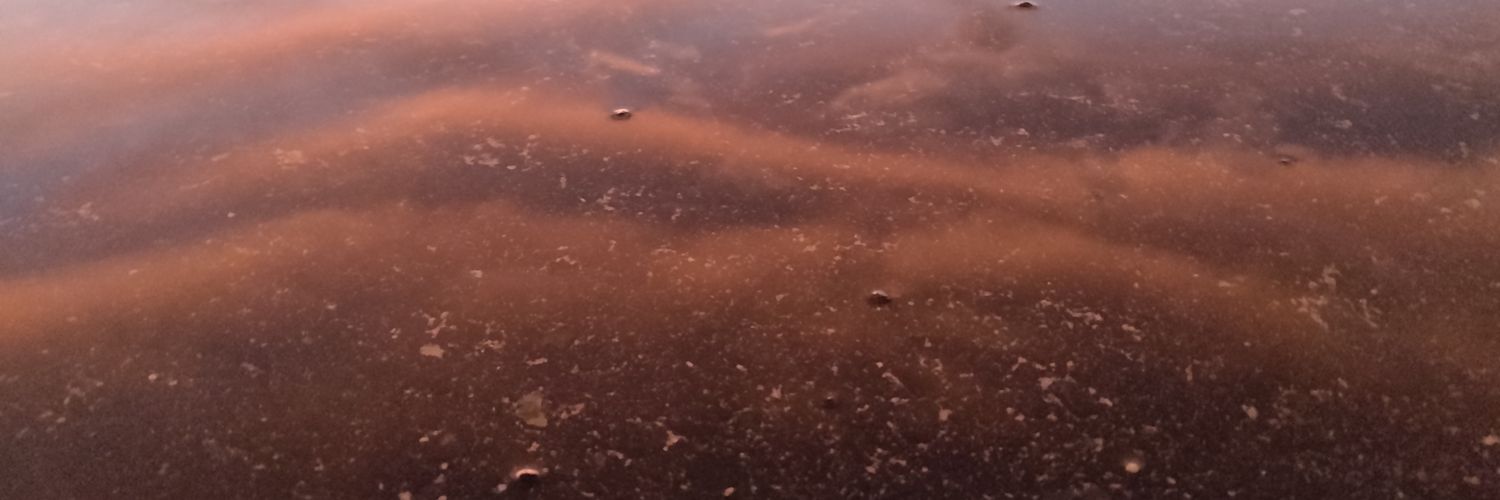 daufmohamed's profile banner image