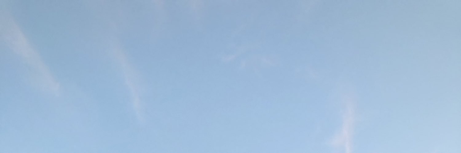 dtornerl's profile banner image