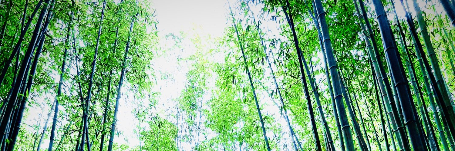 r4ku_'s profile banner image