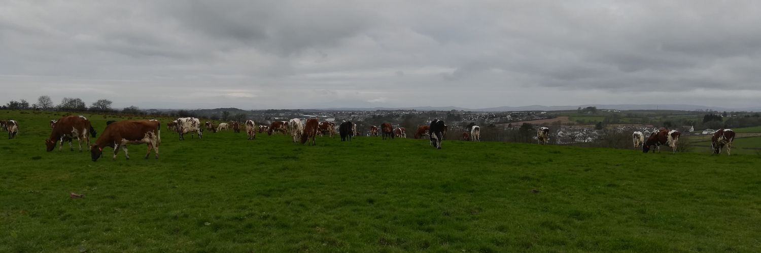 Robert Drummond banner