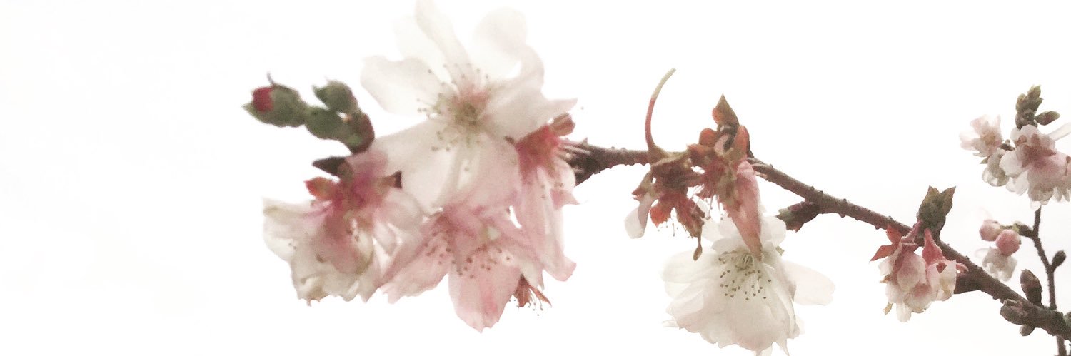 nyuron_syuka's profile banner image