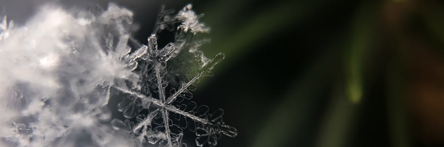 TalkOrganic's profile banner image