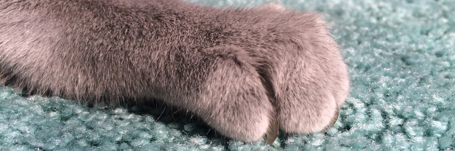 spoott's profile banner image