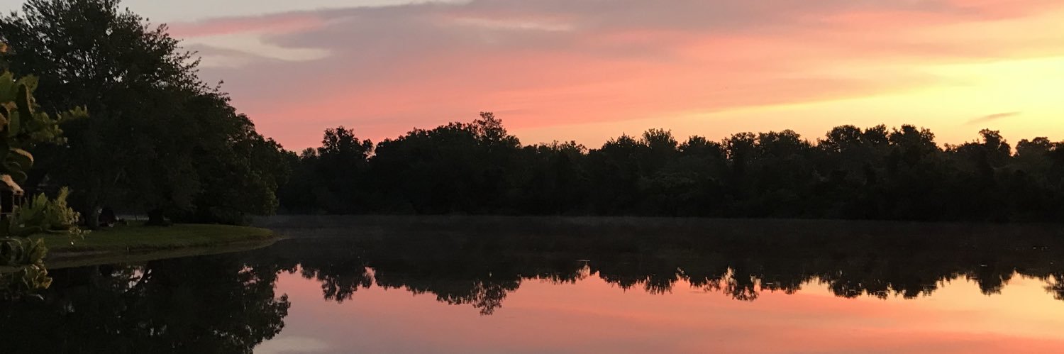 Rileyreese10's profile banner image