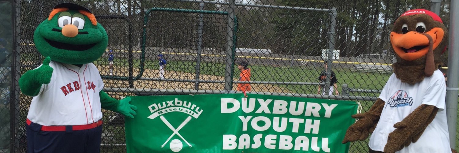 baseballDYB's profile banner image