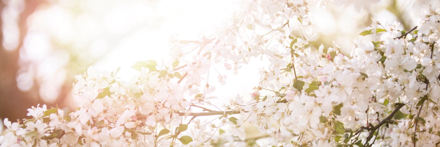 SheenaRPerry's profile banner image