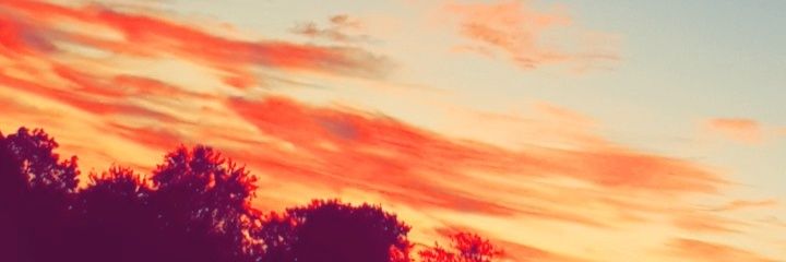 MarieBoly's profile banner image