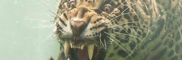 m00dyx Profile Banner