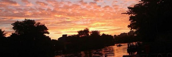 bleefisher Profile Banner