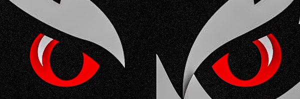 STRavensFtball Profile Banner