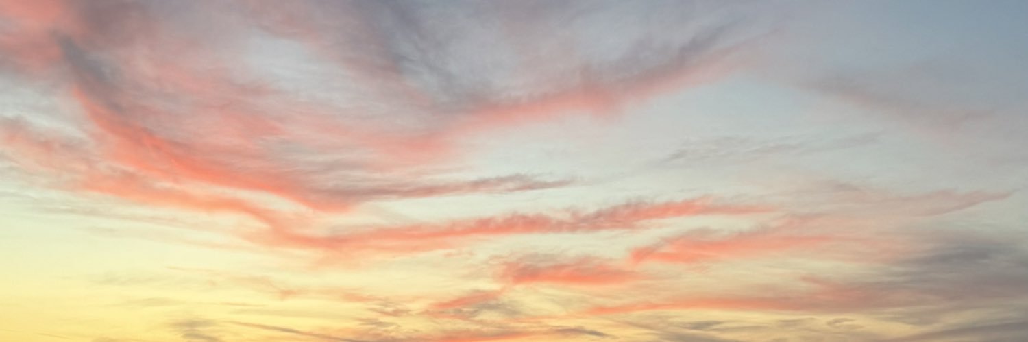 MaryamAlha's profile banner image