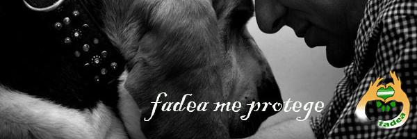 federacionfadea's profile banner image
