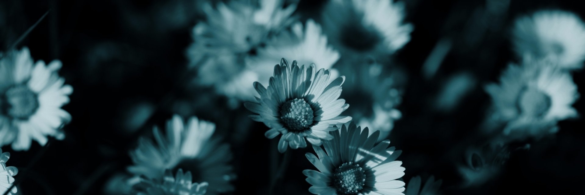 samaposebe19157's profile banner image