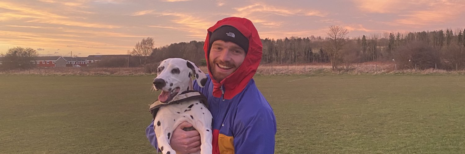 MollSimm's profile banner image