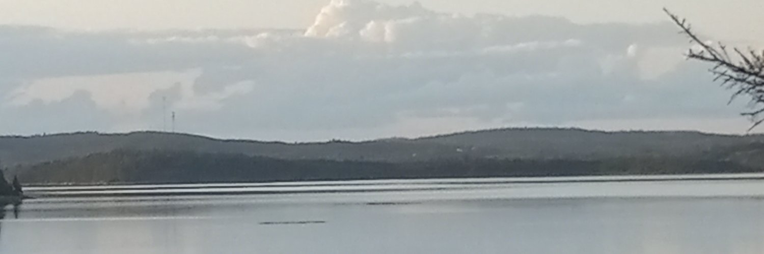 michelle mccrate banner